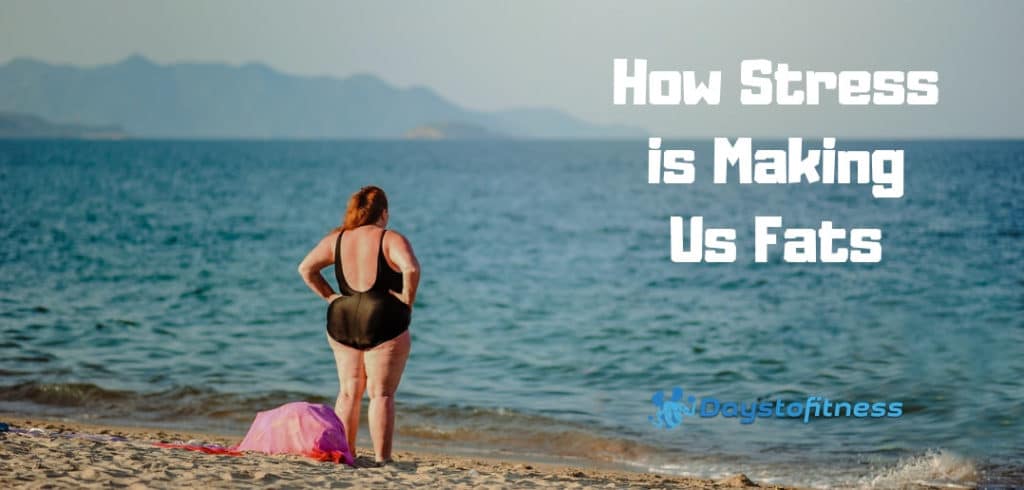 How Stress Is Making Us Fats pin